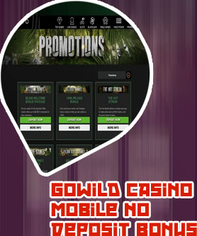 Gowild casino mobile