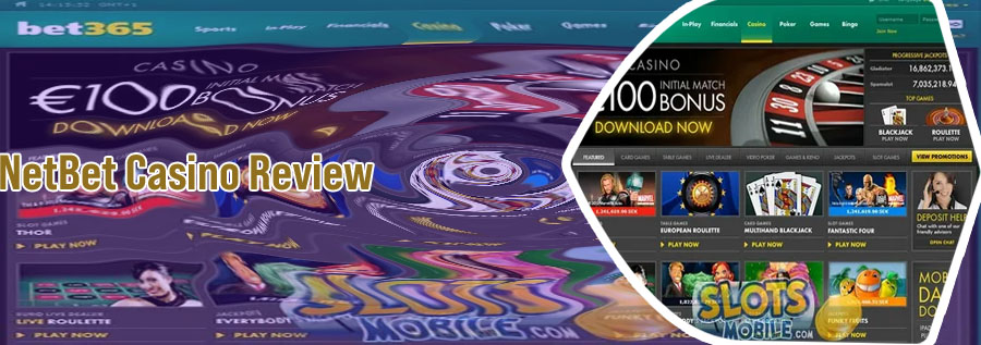 Net bet casino