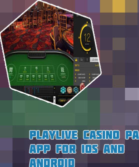 Playlive casino app